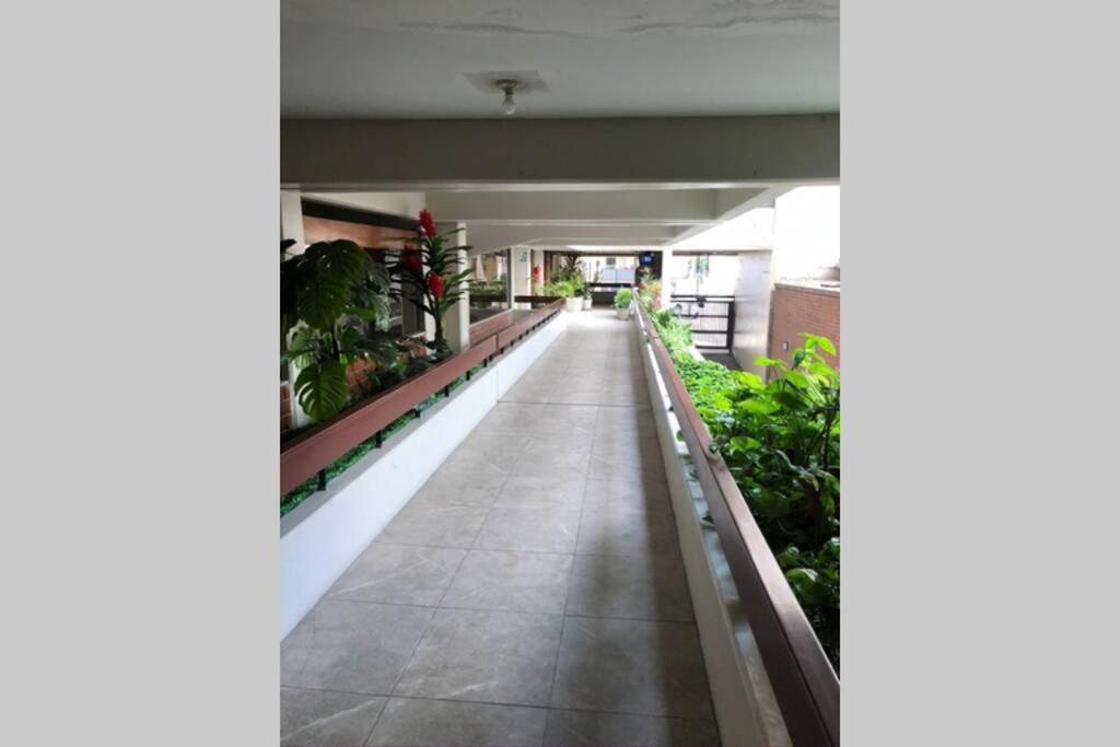 4b Mini-departamento Nuevo En Centro De Miraflores Apartment *